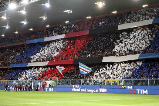 La Samp gioca in casa e anche le tribune sono colorate di blucerchiato. LaPresse